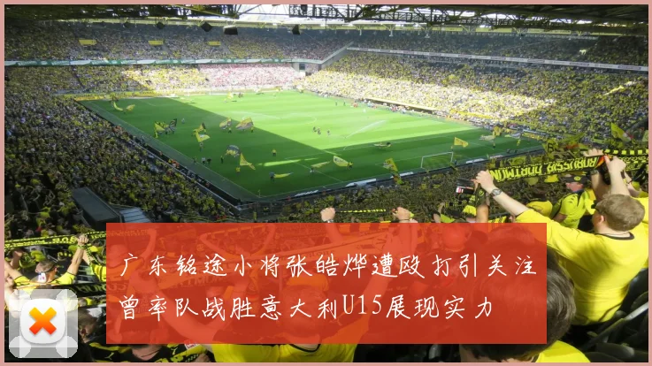 广东铭途小将张皓烨遭殴打引关注曾率队战胜意大利U15展现实力